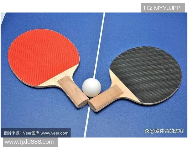 乒乓球新手必看:从零基础到快速上手的全面入门指南 乒乓球新手必看:从零基础到快速上手的全面入门指南