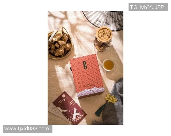 成都网球队防守体系解析与战术运用探讨