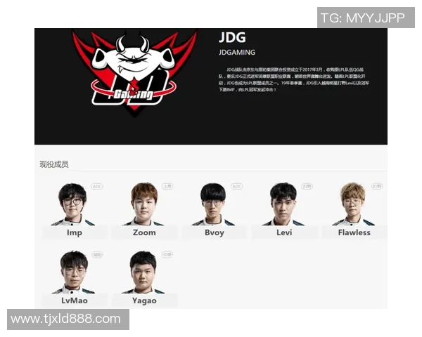 深入探讨JDG战队在比赛中的耐力表现与数据分析解读